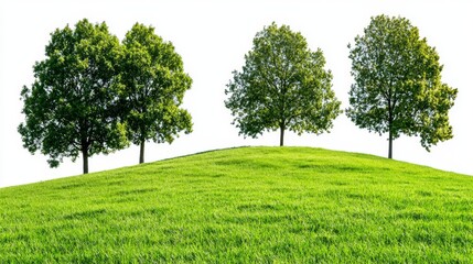 Isolated tree and flower grove in a forest, on transparent background
