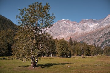 Landscape in the mountains Alps and Monte Rosa peak