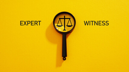 Expert witness is shown using the text and scales