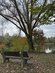 bench in the park