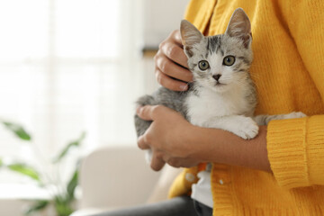 Woman with cute kitten at home, closeup. Space for text