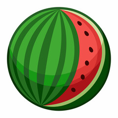 watermelon vector illustration