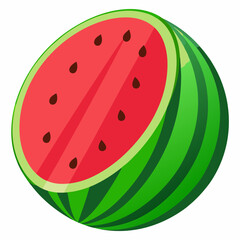 watermelon vector illustration