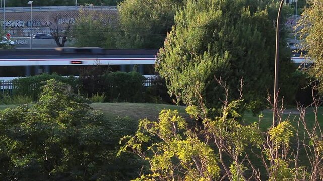 Video sin editar de tren de cercan&iacute;as pasando a gran velocidad