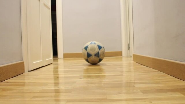 Pelota rodando por un pasillo de madera