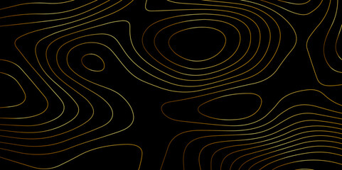 Abstract wave paper curved reliefs background .gradient multicolor wave curve lines banner background design .topographic contours map background .Vector geographic contour map.	