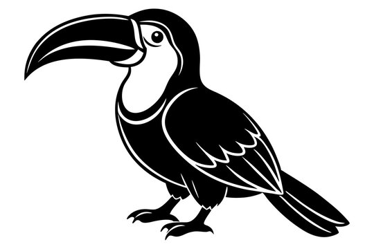 recommend clip art: toucan bird silhouette vector illustration white back ground