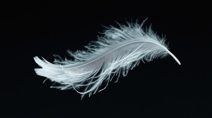 Soft white feather drifting in mid-air against a black background, capturing its ethereal and elegant quality