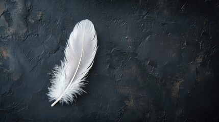 Soft white feather placed against a textured black backdrop, showcasing its delicate structure