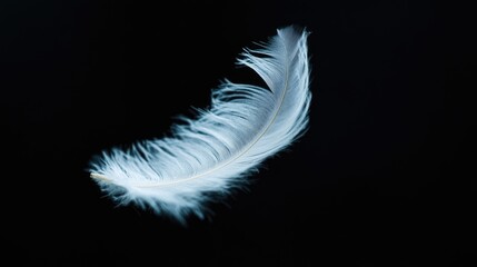 White feather drifting gracefully in front of a dark black background, capturing its ethereal quality