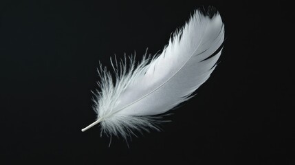 White feather gently floating in front of a black background, showcasing its ethereal and delicate quality