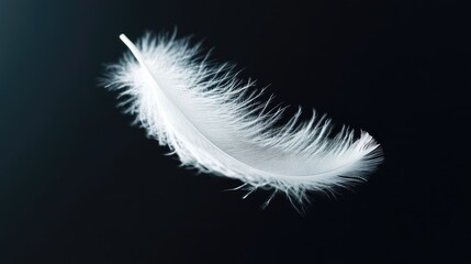 White feather gracefully floating in front of a matte black surface, showcasing its light and airy nature