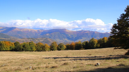 landscape in autumn