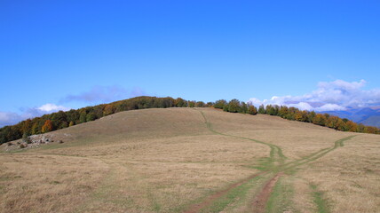 Fototapeta premium landscape in the mountains