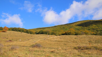 Obraz premium autumn in the mountains