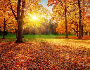 beautiful autumn landscape with yellow trees and sun colorful foliage in the park falling leaves natural background autumn season concept
