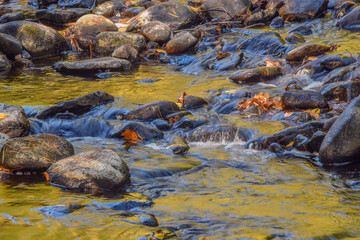 Fototapeta premium water flowing over rocks in the quinapoxet river