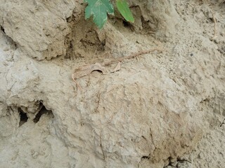 Muddy texture pattern, muddy background, natural beauty, outdoor photos in Pakistan 