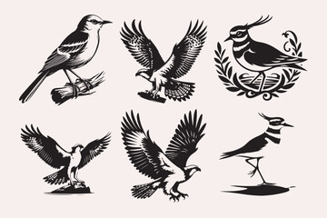 Creative Bird line art Vector Art Illustration