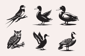 Creative Bird line art Vector Art Illustration