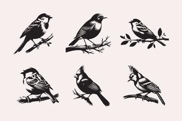 Creative Bird line art Vector Art Illustration