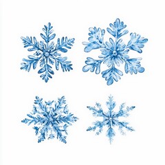 A beautiful watercolor illustration of four distinct snowflakes, showcasing intricate patterns and shades of blue against a white background