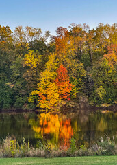 Autumn Colored Trees In Forest Reflected Into Lake Waters