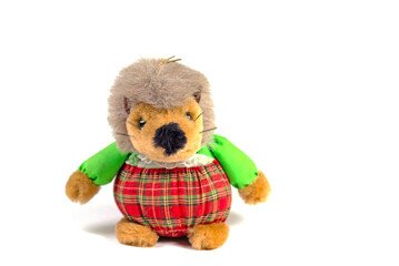 Igel, Plüschtier, vor weißem Hintergrund