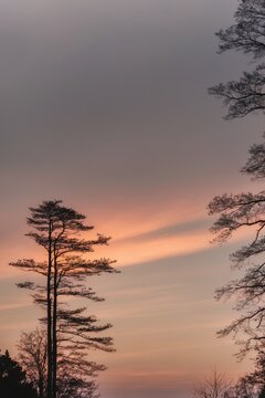 Sunset glowing over treetops Scenic view of the evening sky Striking sunset sky Overcast sky at dusk.
