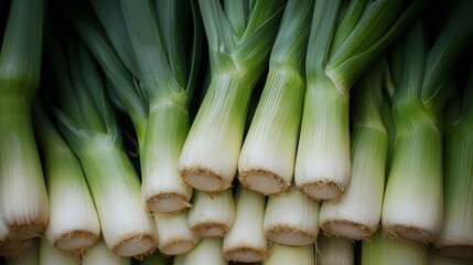 Close-Up of Fresh Leeks Showcasing Cylindrical Stalks With Smooth Texture and Gradient Green to White Color Transition Emphasizing Vibrant Freshness and Healthy Appearance