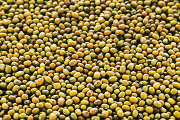 Background of ripe soy beans