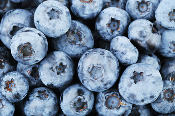 Background of sweet blueberries