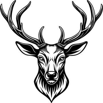 deer head vector