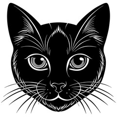 Obraz premium black and white cat