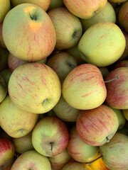 Bright pattern, apple harvest background. Ripe red and green apples close-up. Perfect for agricultural and harvest projects