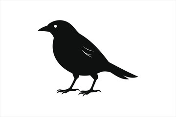 Weaver bird silhouette black vector artwork illustration.