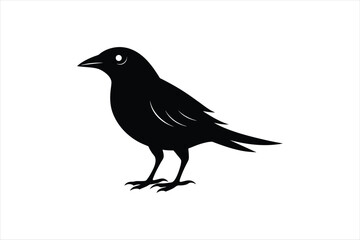 Weaver bird silhouette black vector artwork illustration.