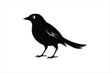 Weaver bird silhouette black vector artwork illustration.