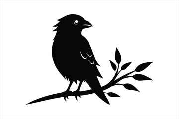  Weaver bird sitting on a branch silhouette black vector art illustration.