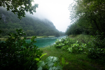 Lush Green River, Norway