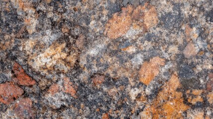 Close-up of a textured, speckled, multicolored stone surface