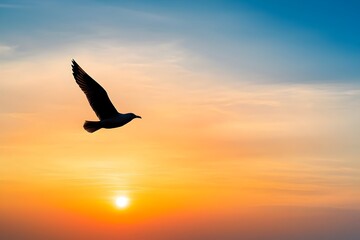 Majestic Bird Silhouette Against Breathtaking Sunset Landscape