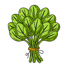 Bunch of basil, colorful linear icon. Seasonal spicy medicinal plant, vector outline green veggies, flat illustration. Healthy nutrition, organic food, natural product. Symbol for sticker, logo, print