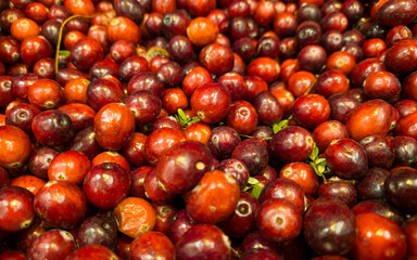 Cranberry background. Cranberries are on the shelve in store. Berries background