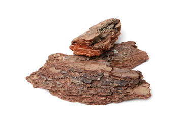 Pieces of tree bark on white background