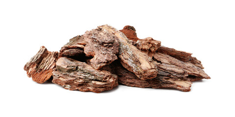 Pieces of tree bark on white background