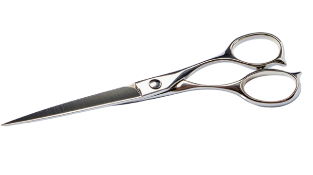 Scissors, white isolate background