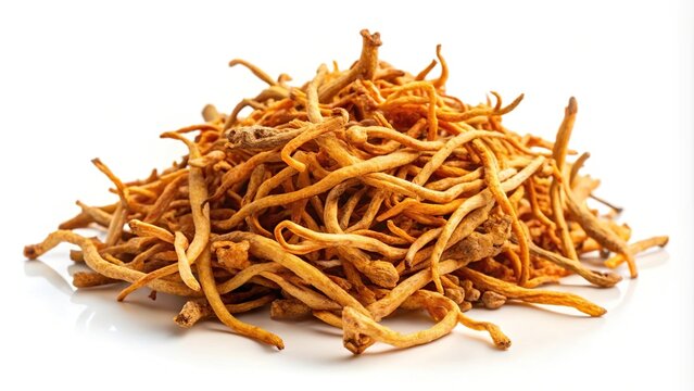 Extreme close-up of dried cordyceps militaris mushroom isolated on white background