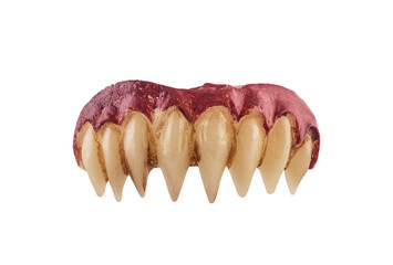 Vampire or monster sharp teeth isolated on white background with clipping path