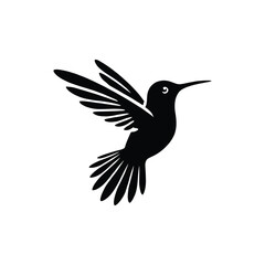 Obraz premium Hummingbird Vector Illustration – Black and White Flying Bird Graphic Design